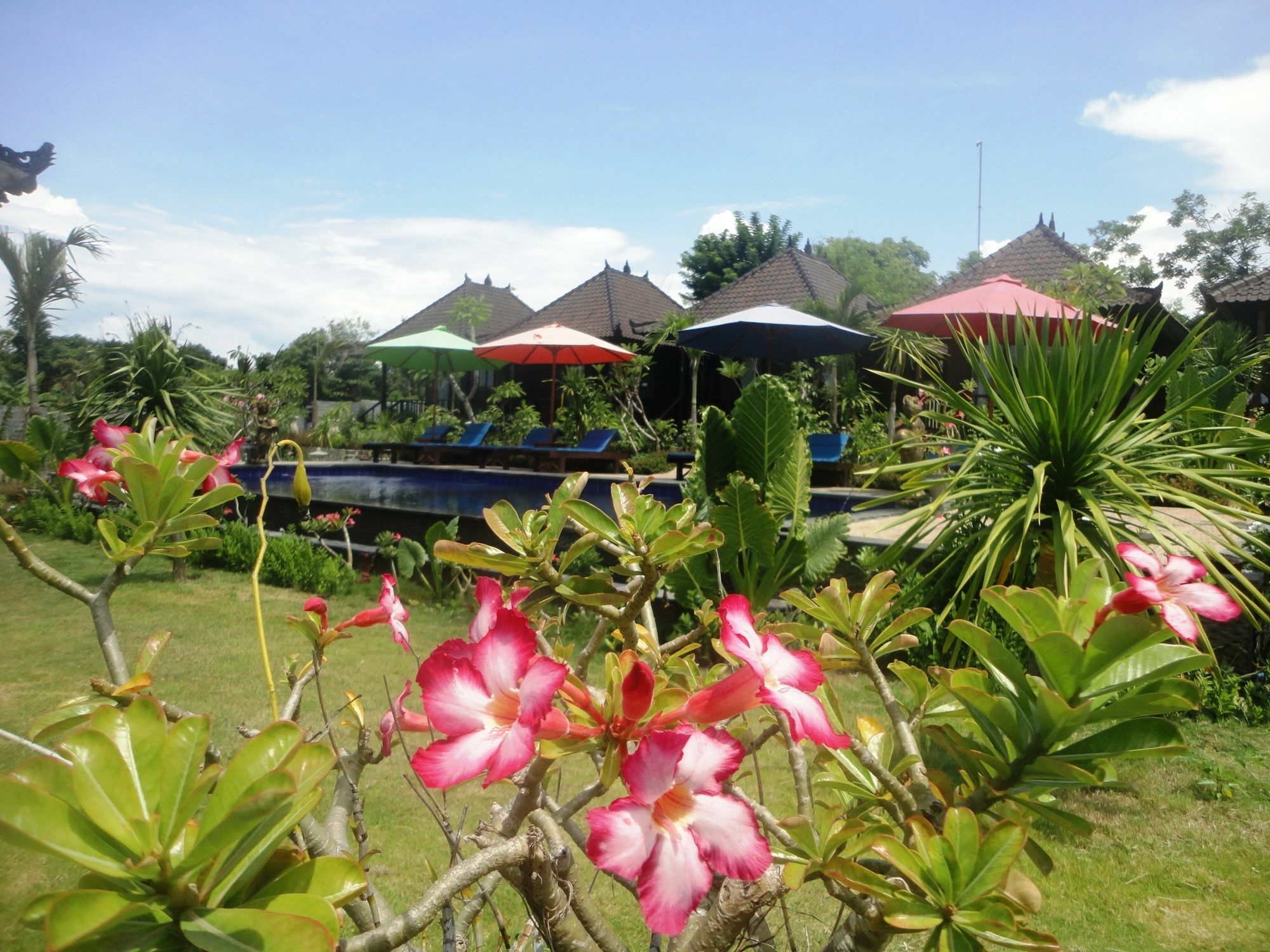 Dream Beach Berlian Lembongan Eksteriør bilde